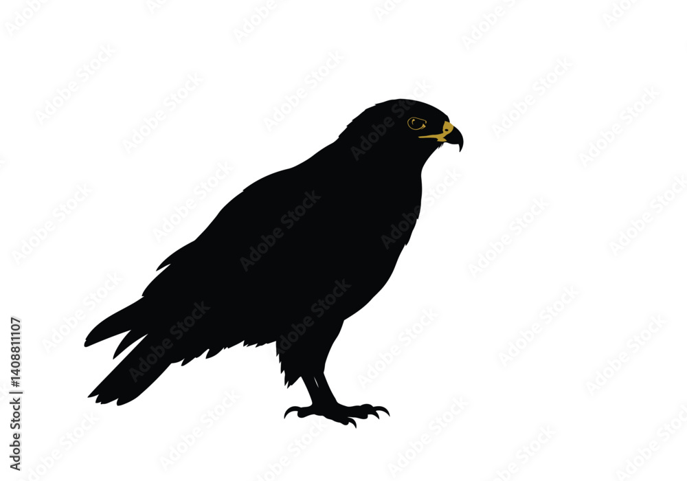 Fototapeta premium Buzzard silhouette. This image depicts a buzzard with wings spread wide in a majestic and powerful flight. Vector clipart black illustration design.