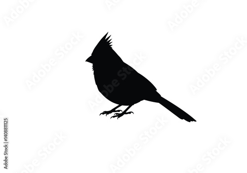 Cardinal silhouette. A black silhouette of a cardinal bird perched gracefully, showcasing its prominent crest and elegant features. Vector clipart black illustration design.