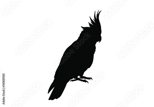 Cockatiel cockatoo silhouette. This image depicts a black silhouette of a cockatiel or cockatoo perched with a prominent crest and long tail. Vector clipart black illustration design.