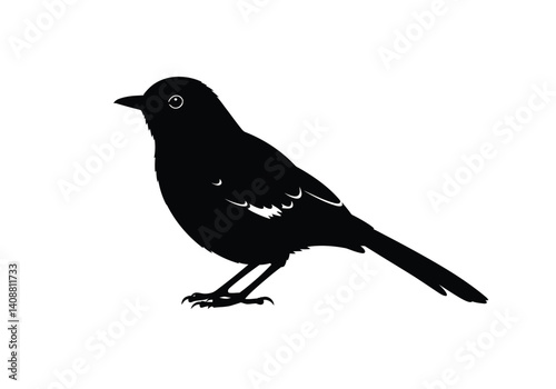 Mockingbird silhouette. This image shows a mockingbird in a perched position with distinct tail feathers and sharp beak. Vector clipart black illustration design.