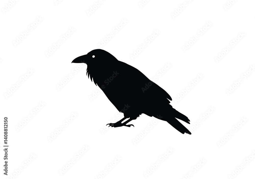 Fototapeta premium Ravens silhouette. This image shows a black silhouette of a raven perched with wings slightly spread, creating a mysterious and iconic shape. Vector clipart black illustration design.