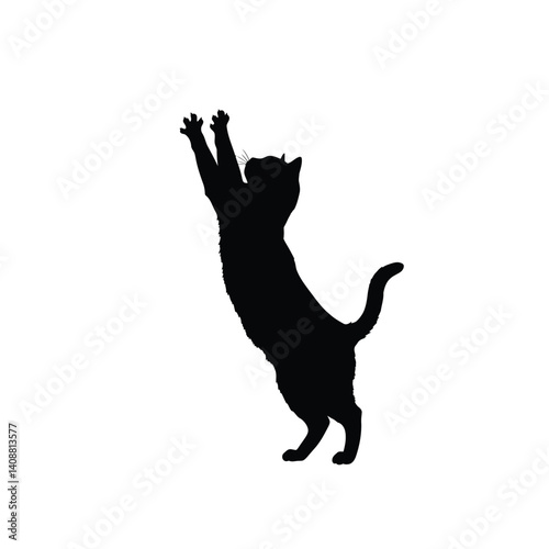 Cat reaching up silhouette. A black silhouette of a cat stretching upwards on its hind legs with its paws extended. Vector clipart black illustration design.
