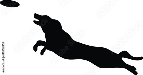 Dog catch frisbee silhouette of jumping pet, Puppy play with disc 