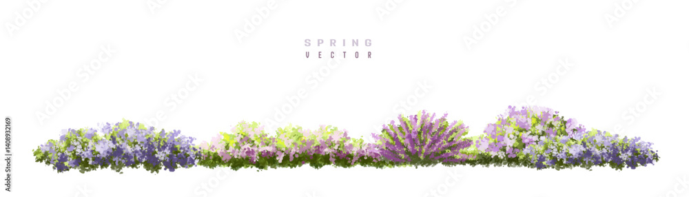 Naklejka premium lavender flowers isolated on white, Vertor set of spring blossom tree,blooming plants side view for landscape elevation and section,eco environment concept design,watercolor meadows illustration