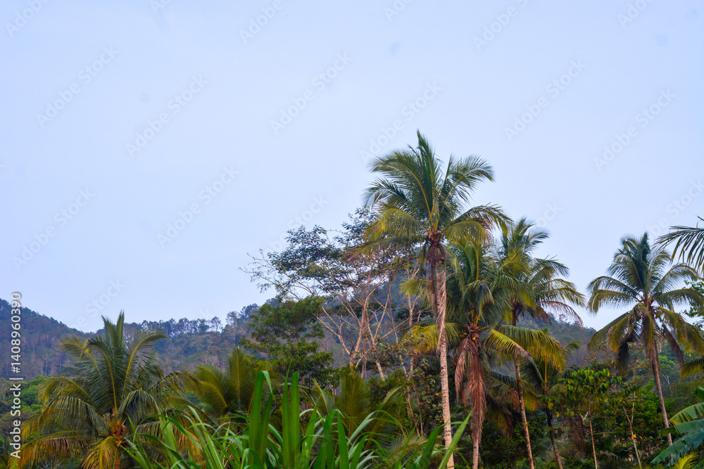Fototapeta premium Aerial view of mountains, sea, rivers in Indonesia
