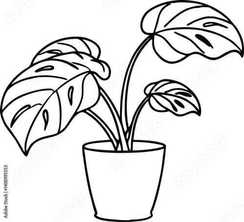 potted plant monstera outline coloring book page, potted plant monstera line art drawing