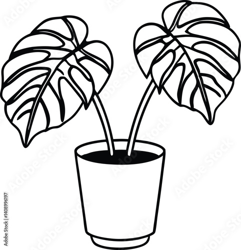 potted plant monstera outline coloring book page, potted plant monstera line art drawing