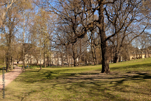 Obraz na płótnie Park w salonie