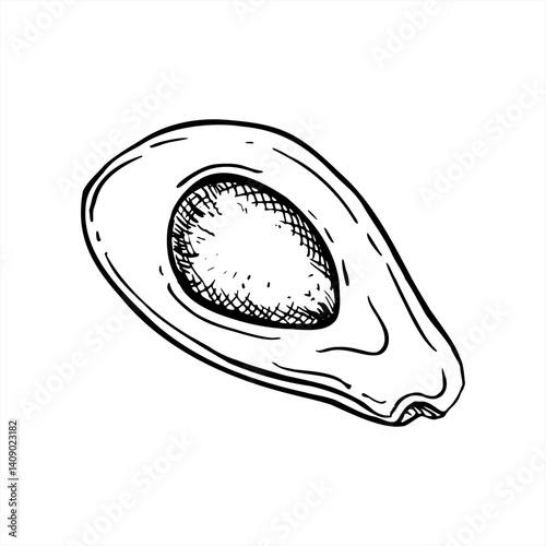 Half of avocado with seed vector isolated illustration painted by black inks. Top view. Monochrome cut fruit slices etching drawing. Healthy plant ingredient for food branding, packaging design