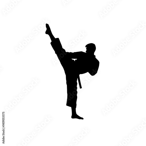 Silhouette of a martial artist demonstrating high kick  