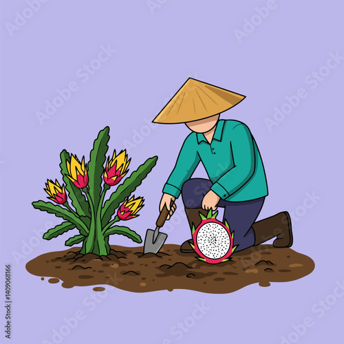 Gardener Planting Dragon Fruit with Traditional Hat
