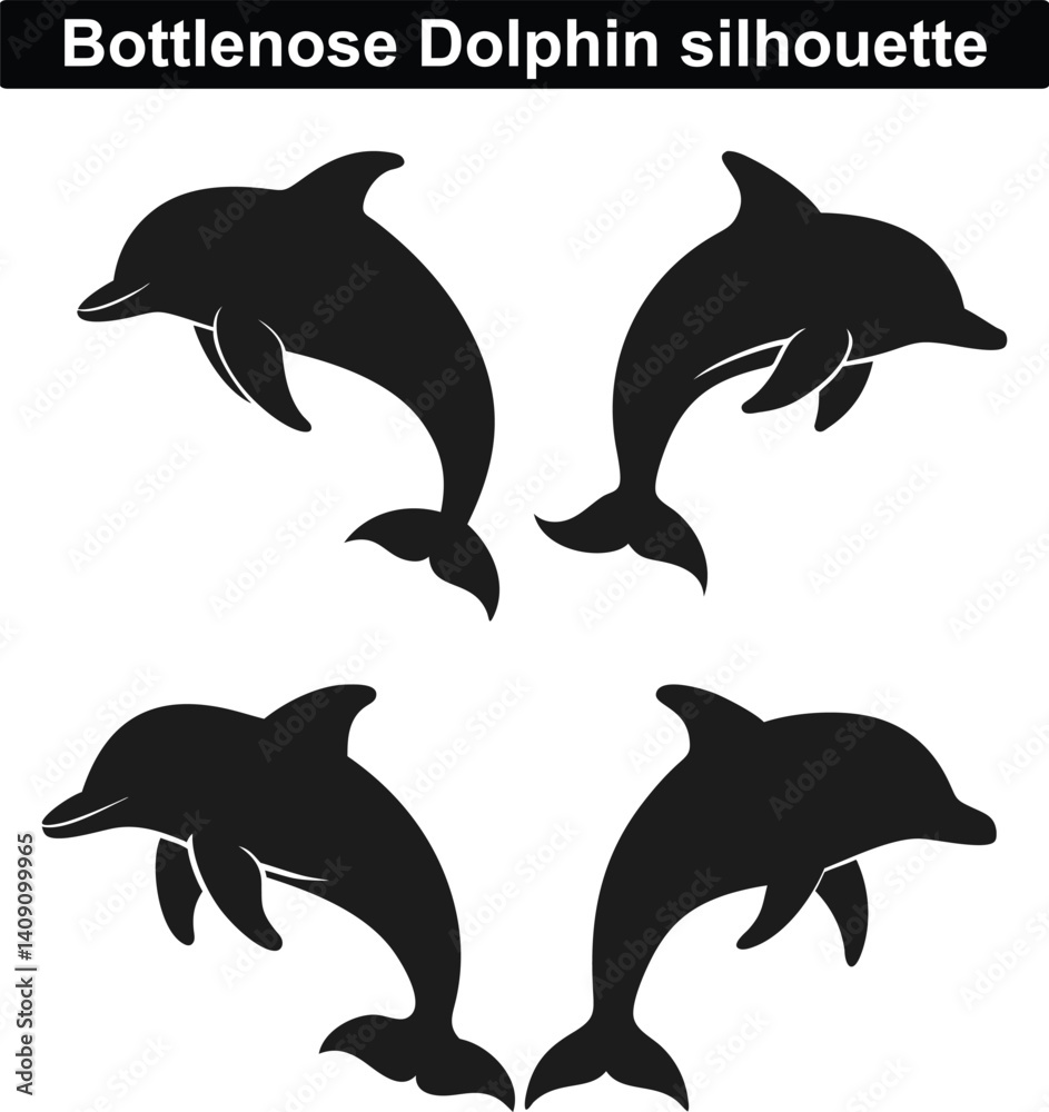 Fototapeta premium dolphin set vector, set of dolphin, set of dolphins