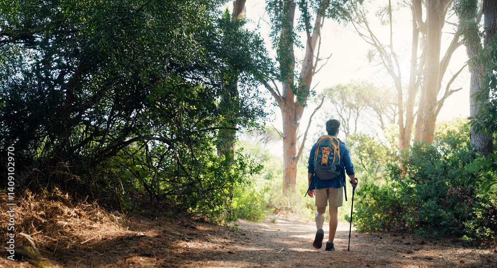Obraz premium Hiking, walking and back of man on mountain with backpack for adventure, trekking and travel. Nature, fitness and person outdoors with stick for wellness, fresh air and exercise to explore outdoor