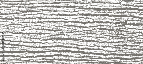 Poplar bark texture