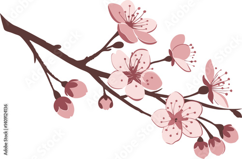 Pink cherry blossom illustration vector design isolated on white background.