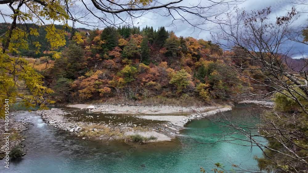 Turquoise waters of Sho River flowing through a colorful autumn forest in Shirakawa go, Japan, creating a breathtaking natural scenery