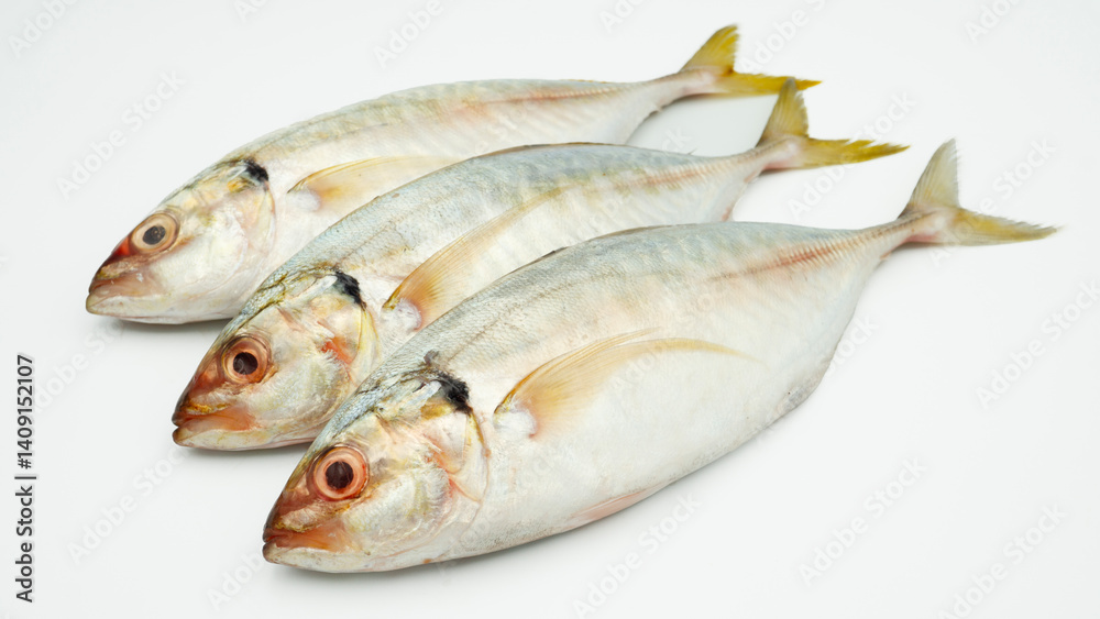 Fish yellowtail or ikan selar isolated on white background Fish yellowtail or ikan selar isolated on white background