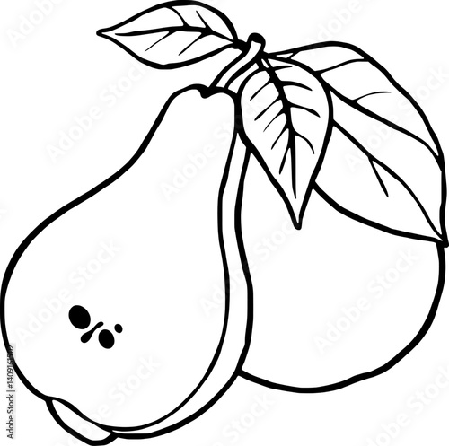 Simple Line Drawing Of A Pair Of Pears With Leaves