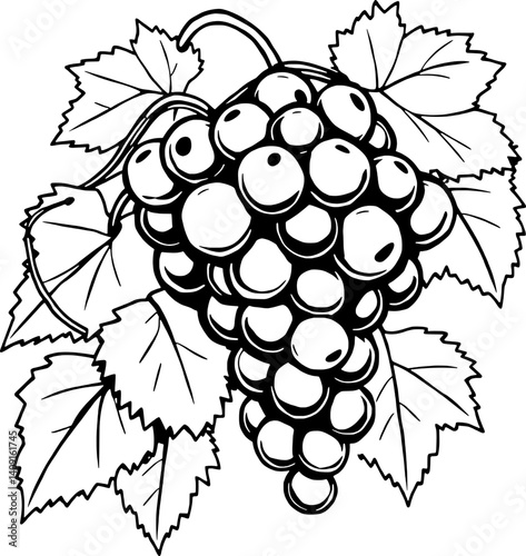 A Detailed Line Drawing Of A Bunch Of Grapes On The Vine With Lush Leaves