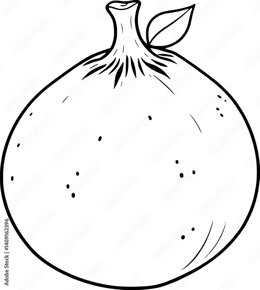 Simple Line Drawing Of A Single Ripe Fig With Leaf Simple Line Drawing Of A Single Ripe Fig With Leaf