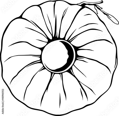 Top View of a Single Round Herbal Compress Drawn in Black and White Line Art Style