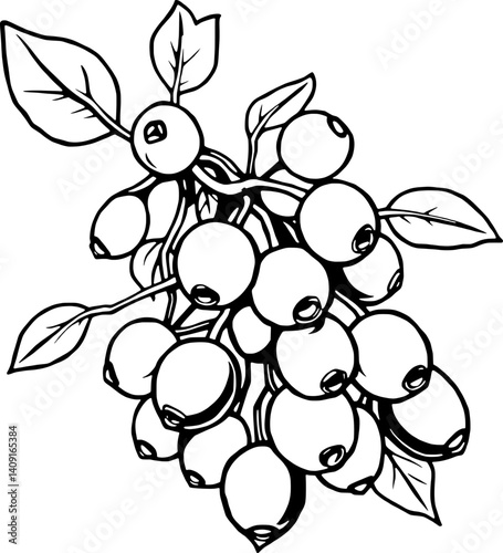 Line Art Illustration Of A Cluster Of Ripe Berries On A Branch With Leaves
