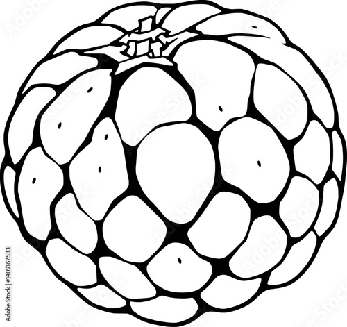 A Detailed Illustration Of A Pale Green Cherimoya Fruit
