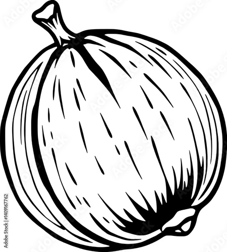 Detailed Line Drawing Of A Single Gooseberry Fruit