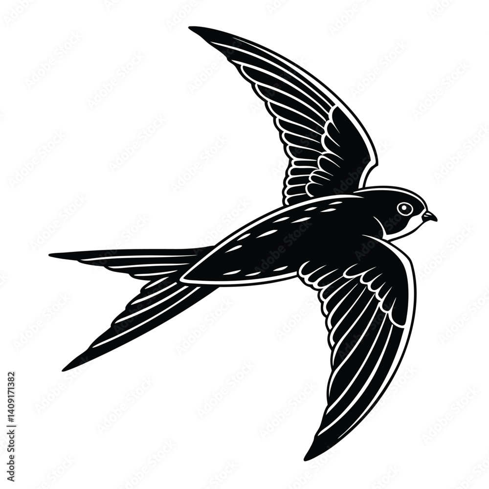 Fototapeta premium Typical swift Bird Silhouette on a white background