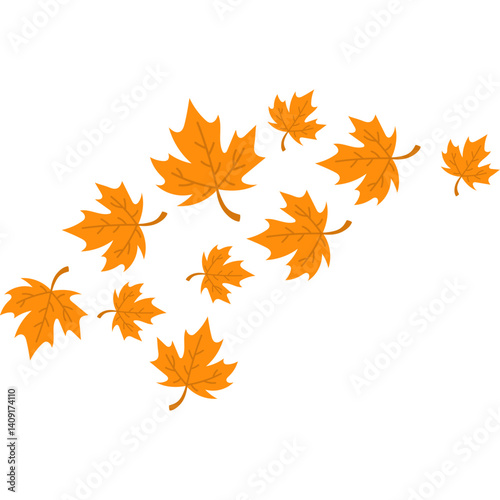 Autumn Maple Leaves Fall