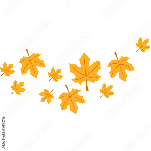 Autumn Maple Leaves Fall