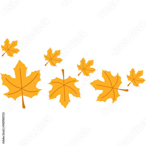 Autumn Maple Leaves Fall