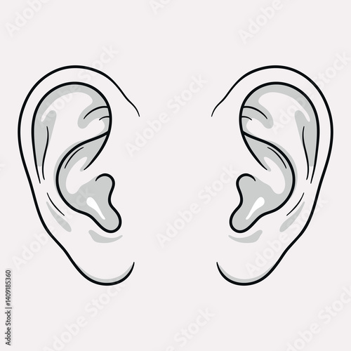 Vector illustration of a pair of human ears in detail from the outside, for learning human body parts
