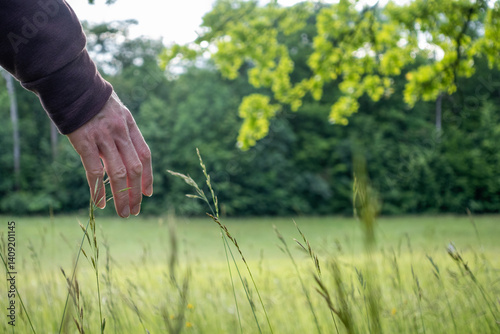 A hand gently touches blades of grass in a serene natural setting