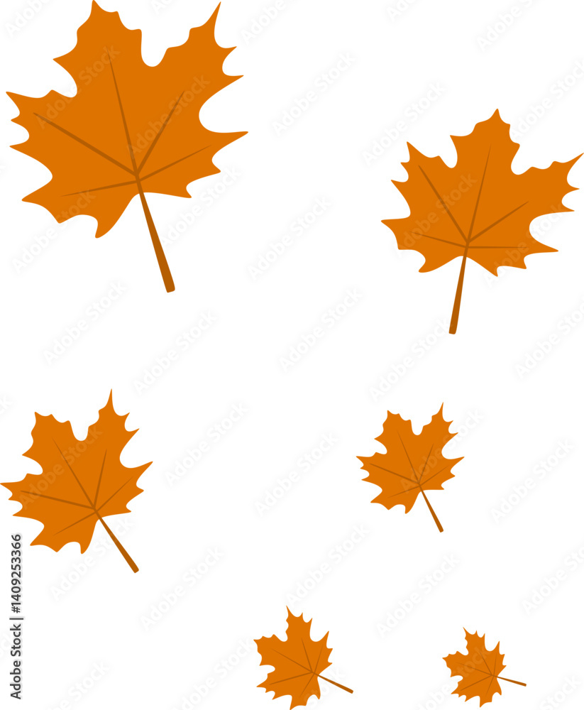 Autumn Maple Leaves Fall Autumn Maple Leaves Fall