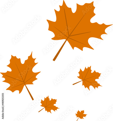 Autumn Maple Leaves Fall