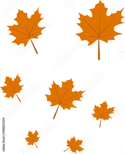 Autumn Maple Leaves Fall