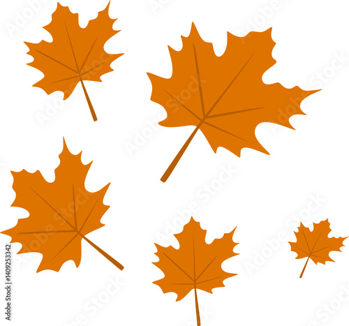 Autumn Maple Leaves Fall