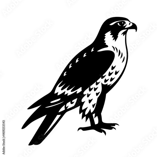 Black and white illustration of a majestic falcon standing tall and proud