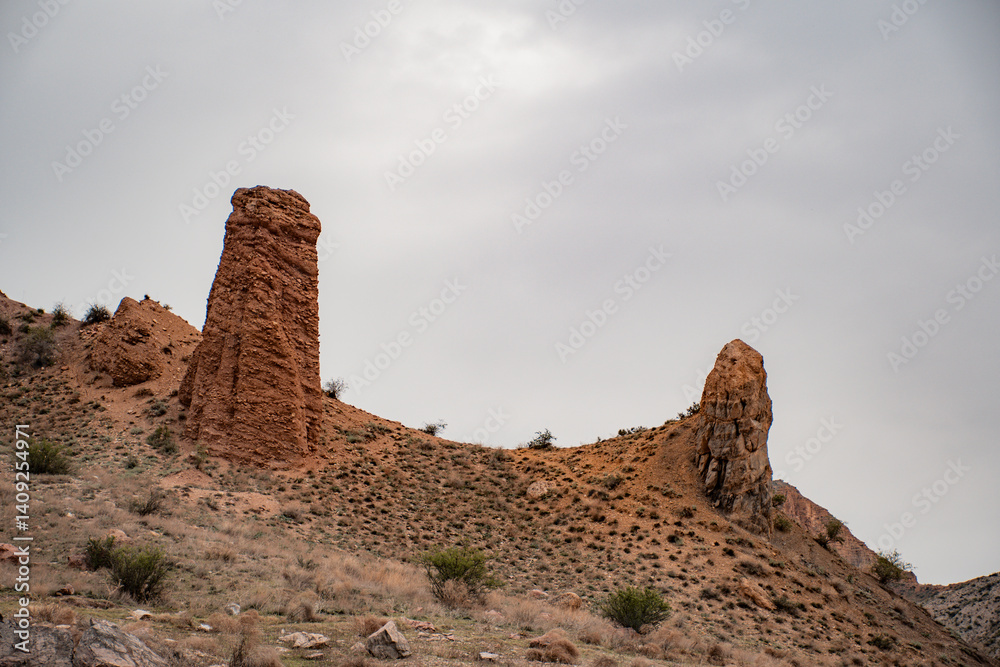 ruins of the old castle