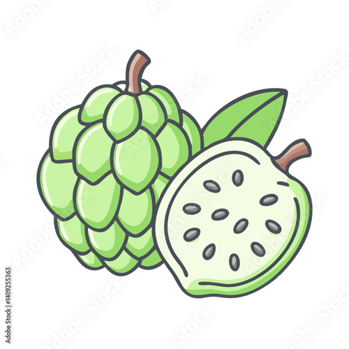A Detailed Illustration of a Cherimoya Fruit Whole and Halved Showing its Seeds and Green Exterior