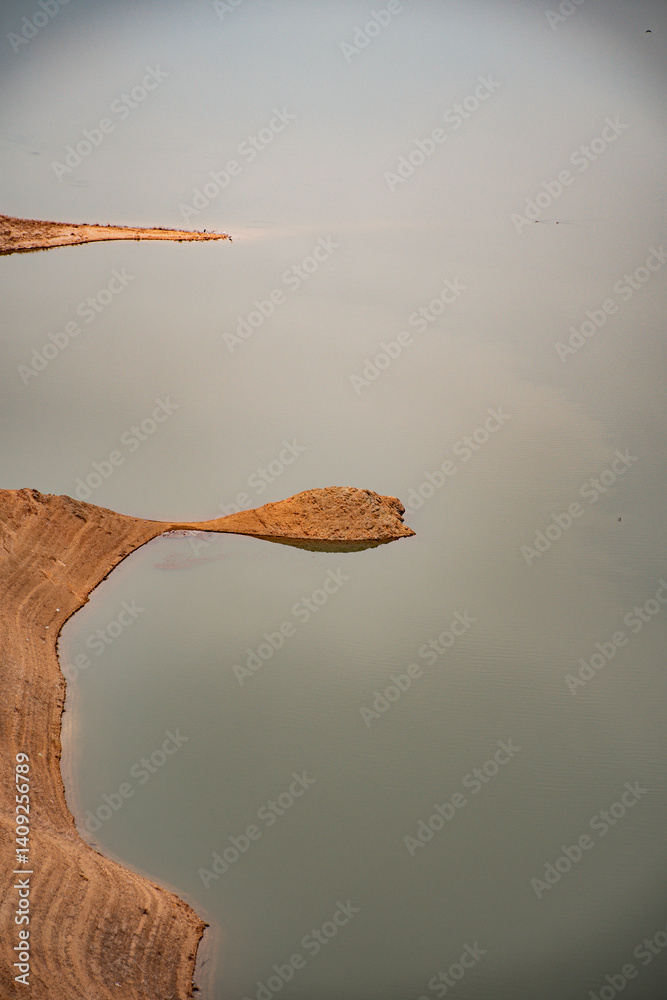 autumn leaves on the water