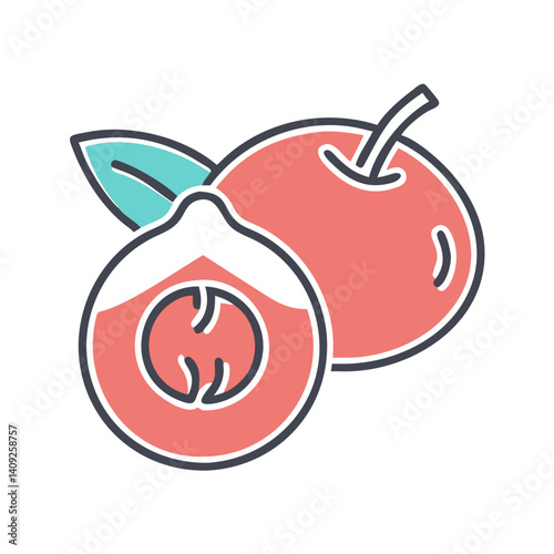 Illustration of a ripe lychee fruit with a sectioned view showing the juicy flesh and seed inside a whole lychee fruit with a leaf