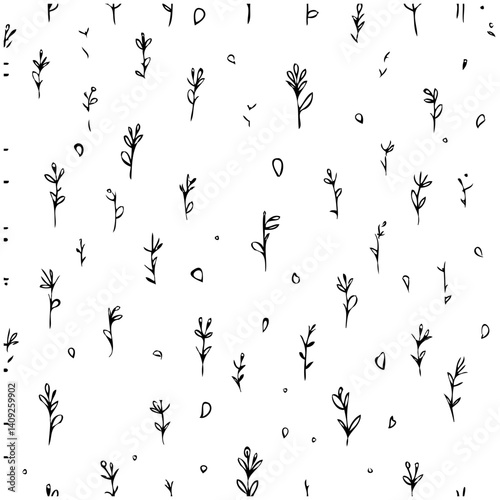 Delicate Black Botanical Sketches on White Backdrop