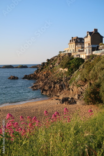 Plage du Val à Rothéneuf, à Saint-Malo en Bretagne, paysage de côte avec des rochers, des fleurs roses, de l’herbe et des maisons sur la falaise, au bord de la mer, au printemps (France)