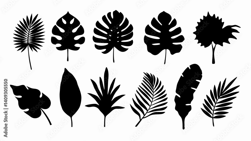 Fototapeta premium set of Tropical leaves vector silhouette vector