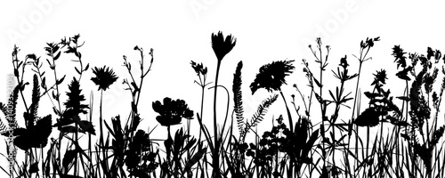 Grass with herbs and wild flowers. Vector isolated silhouette of floral meadow. Horizontal border.