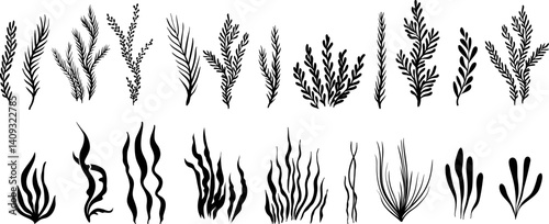 Undersea or aquarium decoration elements.  Underwater plants, corals, reef and deep marine inhabitants. Black vector silhouettes.