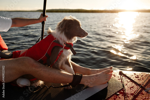 Border Collie puppy in red life jacket for animals swimming on a river on a red SUP board along with his owner in a white t-shirt, red shorts and life jacket who holds a paddle on a sunny morning dawn
