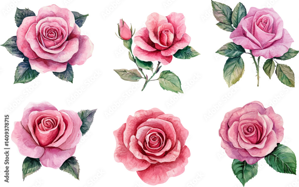 Naklejka premium set of pink roses